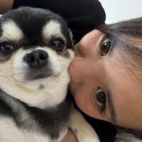 次回はメロン、？！