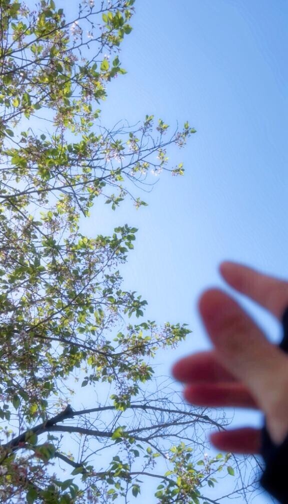 何度だって、春は、やってくる、から。??*。