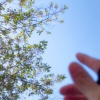 何度だって、春は、やってくる、から。??*。