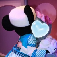 ヒビキ