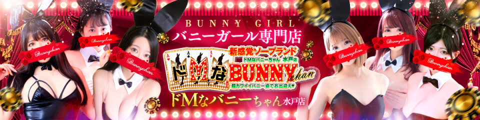 ドMなバニーちゃん 水戸店