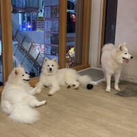 ゆあ