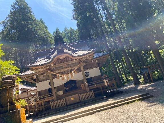 昨日はパワー??? ??-貰いに(* ?? ??? )?