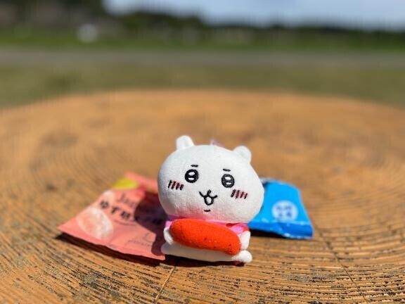 博多っ子