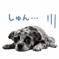 ?????♀???♀???♀?