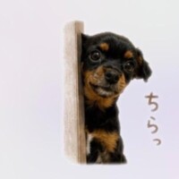 明日追加出勤??♀???♀???♀?