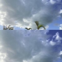 ??????♀???♀???♀?