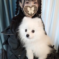 本指名H様?お礼?