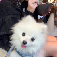 1月最終日☆土浦店?