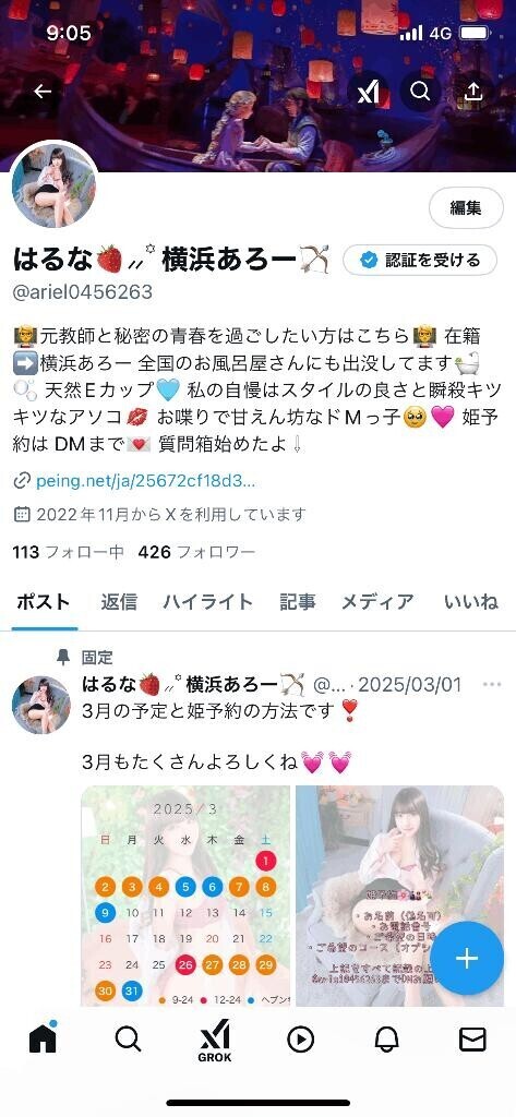 公式X