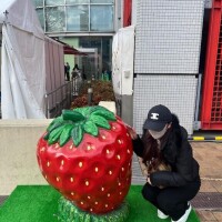 明日から?