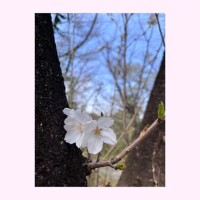 春休みのお礼だよ??