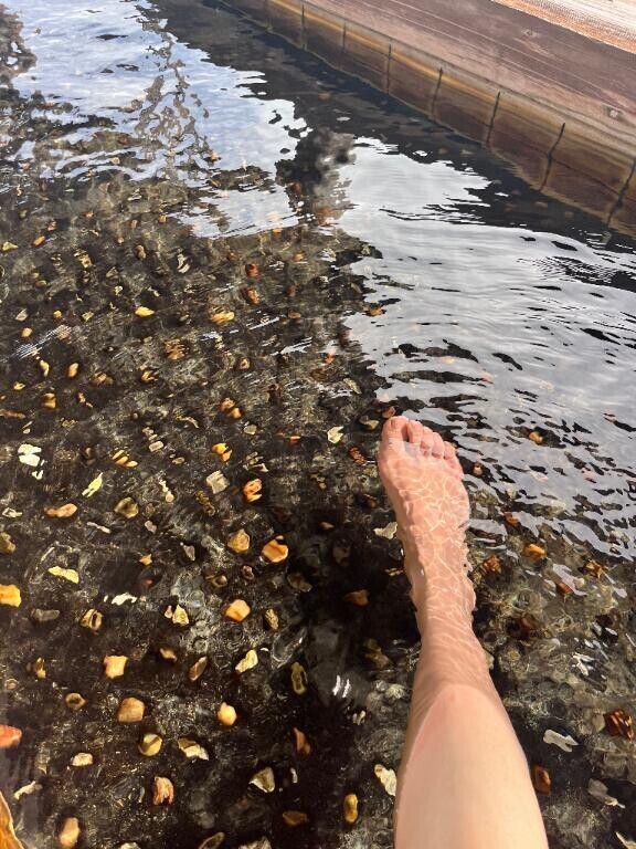 海は広いな大きいな