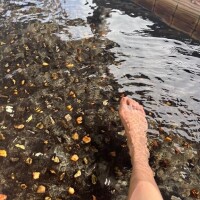 海は広いな大きいな