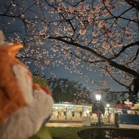 [お題]from:高校生の父さん