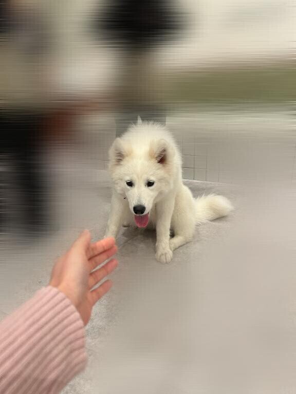 早いもん勝ち????
