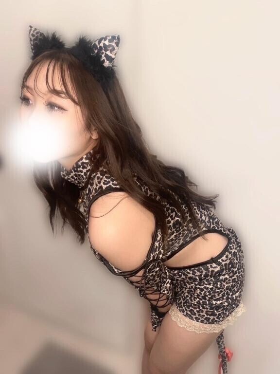 あたし野良猫??