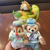せりな