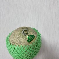 まさかの先週分のお礼を今書く