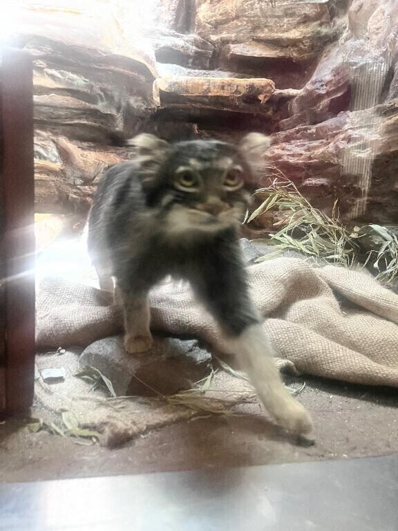 ぶっちゃけ