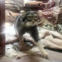 ぶっちゃけ