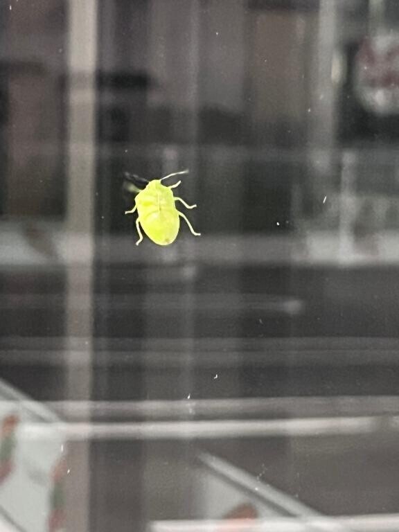 夏休み出稼ぎ第1弾御礼