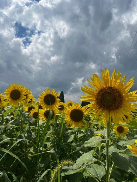 バイトの愚痴！