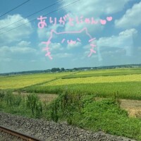 みなみ