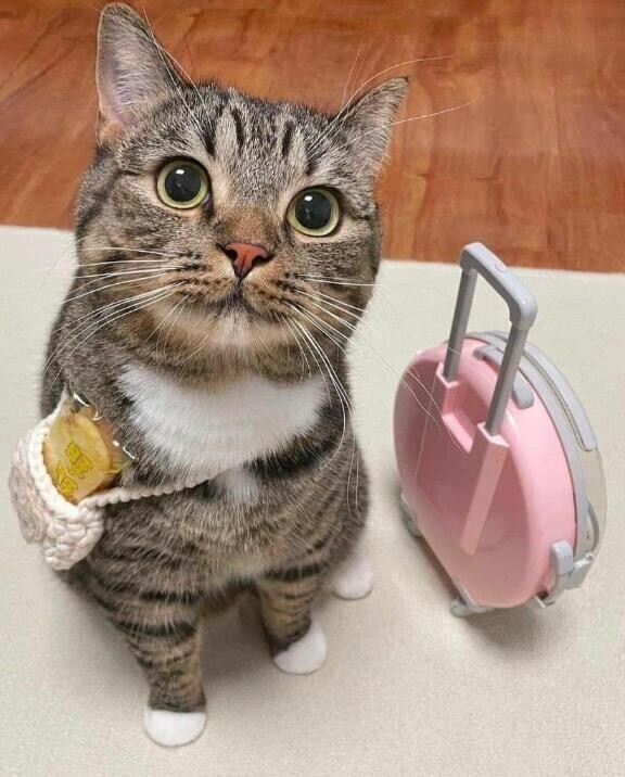 向かいます??♀????