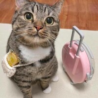 向かいます??♀????