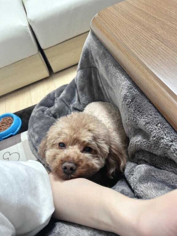 るーるるるるるるーるる????