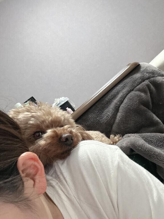 らーらららら～????