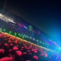 ねる?お礼日記?