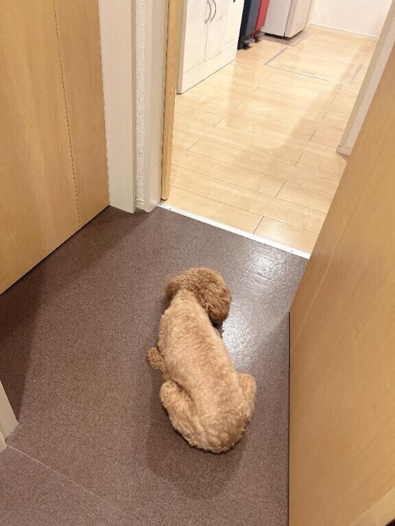 ねる?お礼日記?