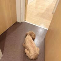 ねる?お礼日記?