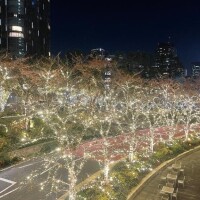 ?出勤予定?