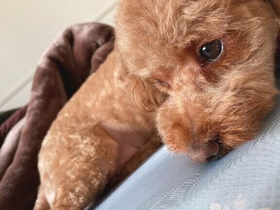 20時30から予約のお兄様??