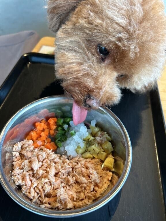 12時30分お会いしたお兄様??