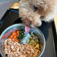 12時30分お会いしたお兄様??