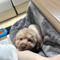 15時からお会いしたお兄様??