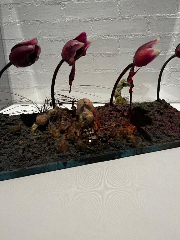 キーボードパワハラ界隈