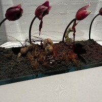 キーボードパワハラ界隈