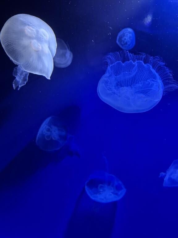 ?11.16   part①  4名のお兄様?