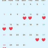 来月の予定なり