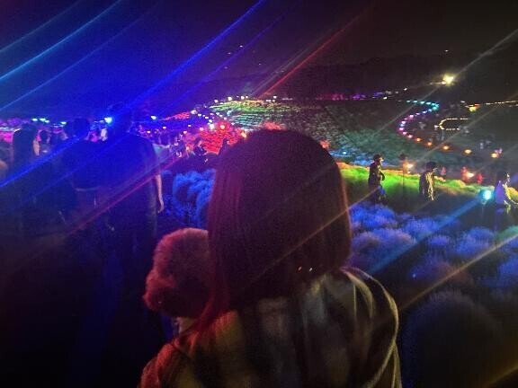 明日から、、?????