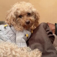 楽しみすぎ～???