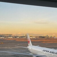 あけおめことよろ