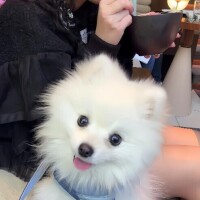 キス好きなお兄様必見?