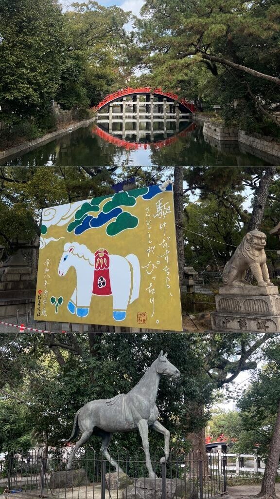 お久しぶりです