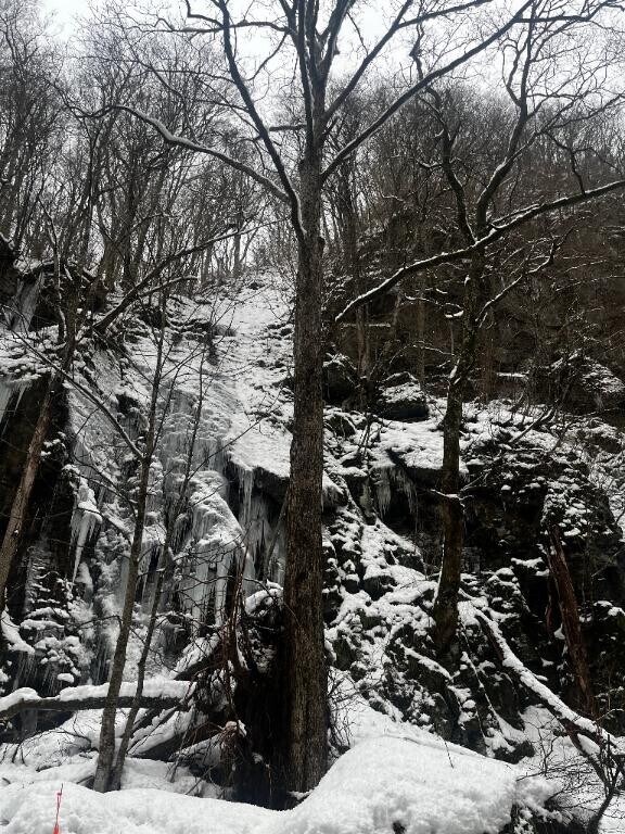 雪国仕様のこの体